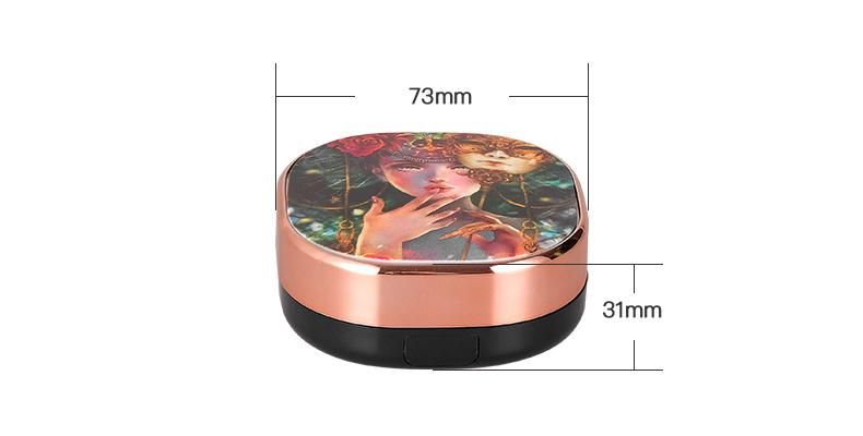 Popular Unique Stylish 3D Painting Cosmetic Case Air Cushion Case Bb Cream Case Compact Powder Case for Makeup Case