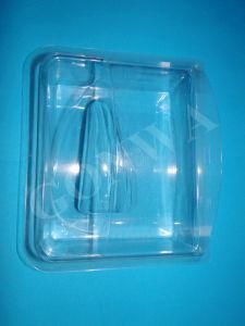 Pet Transparent Blister Packaging