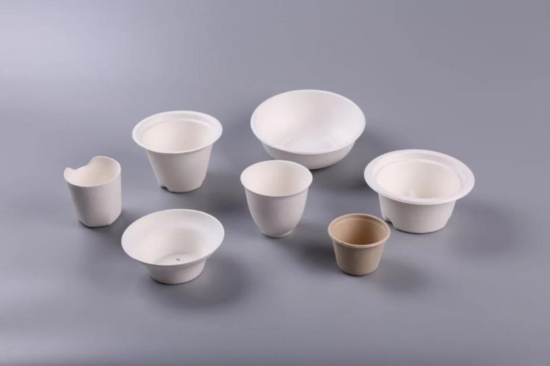 Strong and Protective Biodegradable Molded Pulp Tray