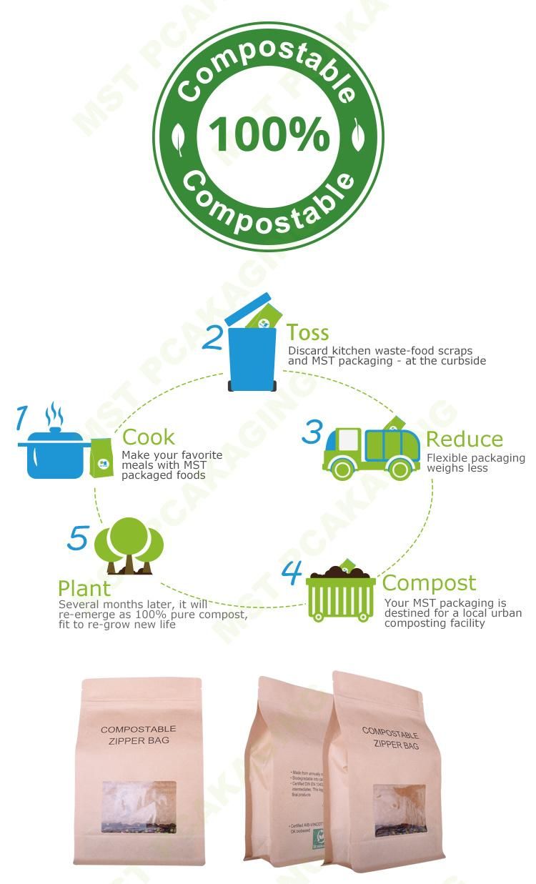 Eco-Friendly Biodergadable Packaging Compostable Organic Food Bag