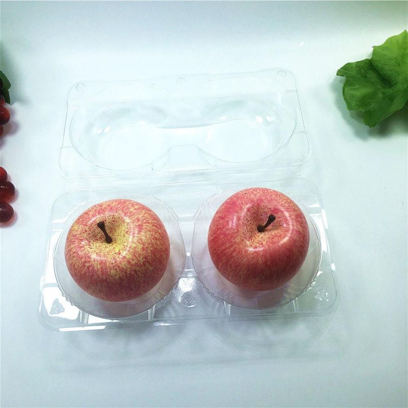 Plastic Food Fruit Packaging with Lid