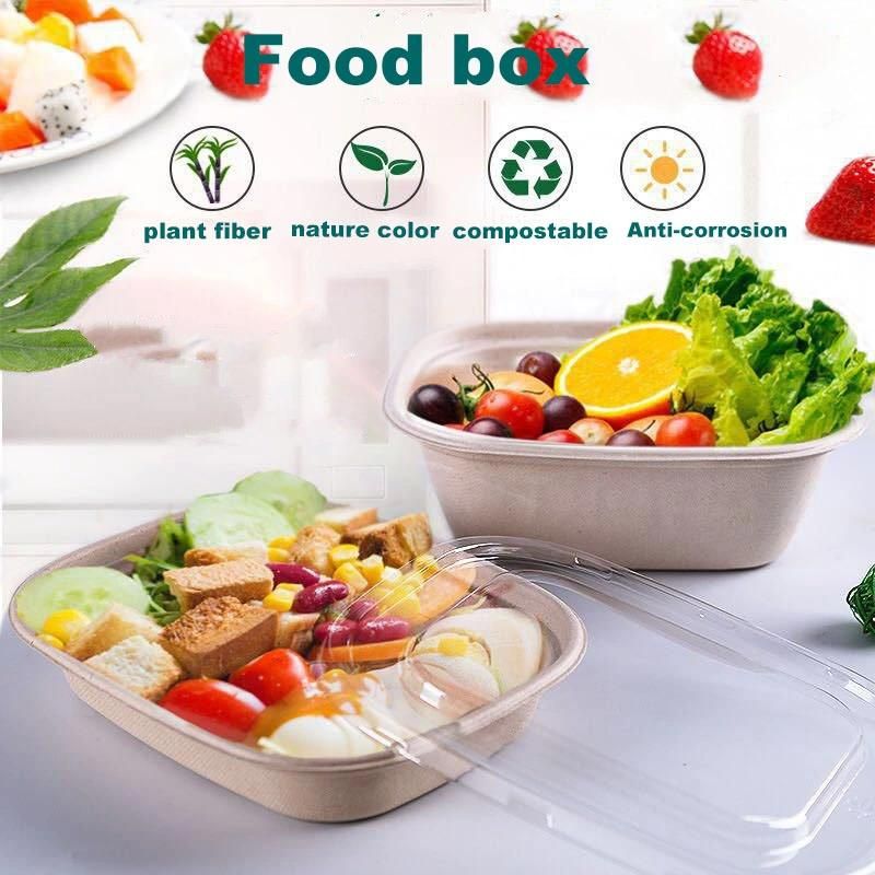 9 Inch X 9 Inch Food Packaging Box 3 Compartment