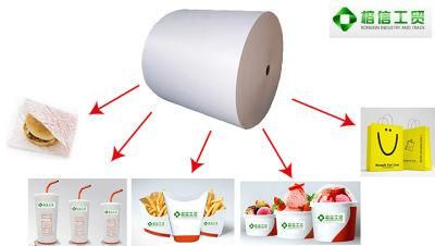 Pbs Coated and 100% Biodegradable Paper for Icecream Cup, Soup Bowl, Salad Cup