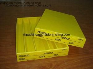 Recyclable Polypropylene Corflute Fruit Box Folding Box