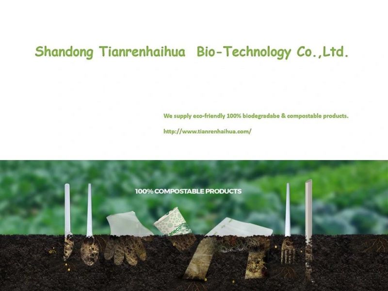 100% Biodegradable Plaresin/Compostable Pbat Biodegradable Resin for Shopping Bag