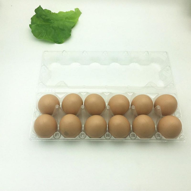 Pet Disposable Plastic 12holes Egg Tray Container