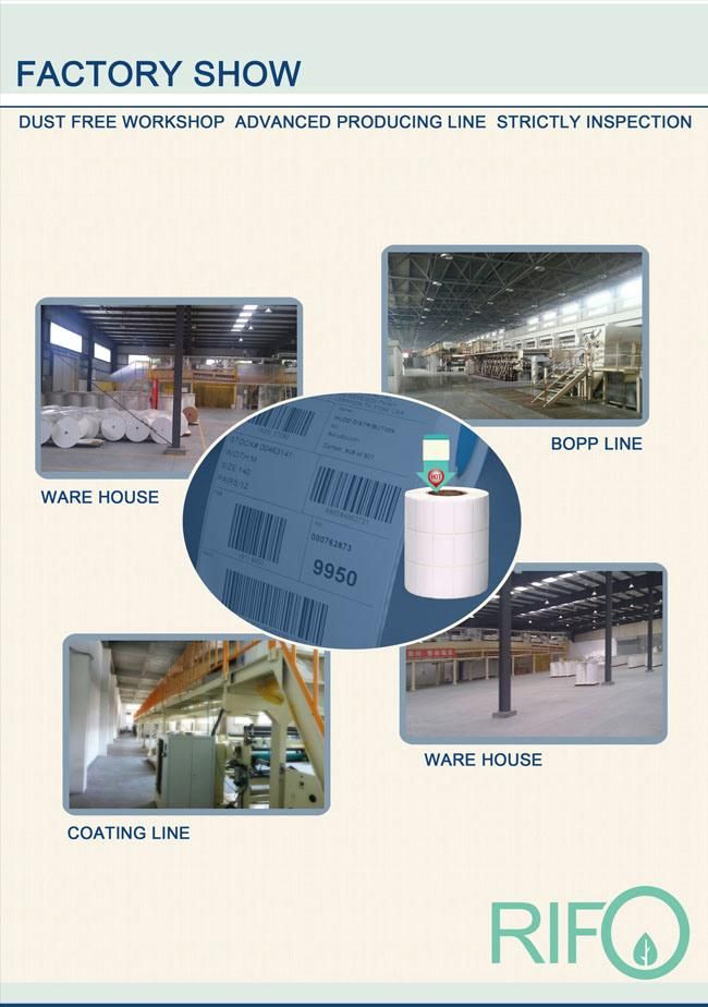 Heat Transfer, Cash Register Paper Type Thermal Paper