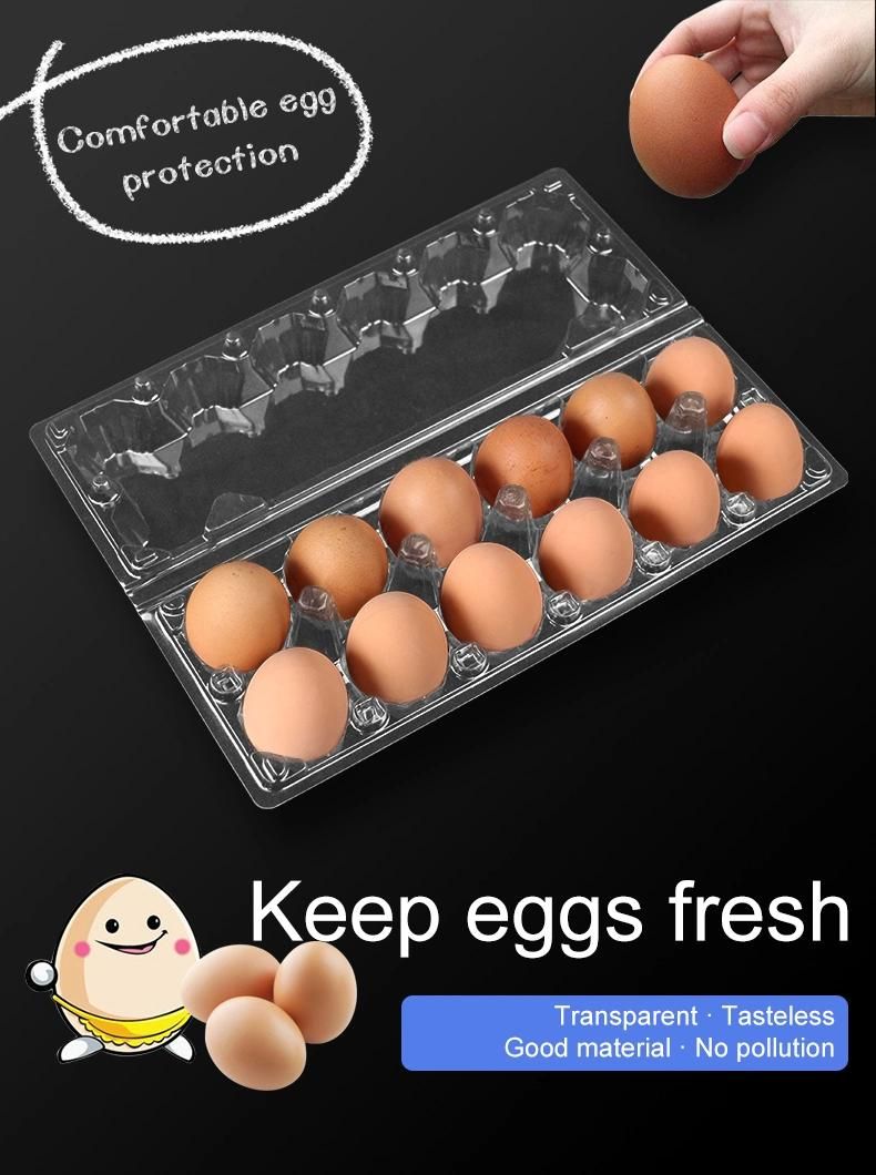 Pet 6 Holes Disposable Plastic Egg Box Packaging Tray