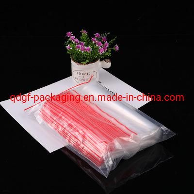 Custom Printed Waterproof Plastic Double Ziplock Bag Resealable Transparent PE Zipper Packaging Bags