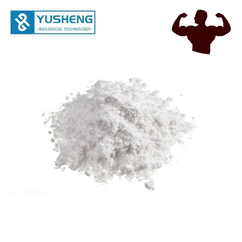 China Factory Supply 99% Purity Raw Steroids Powder Testosterone Enanthate Bodybuilding Hormone