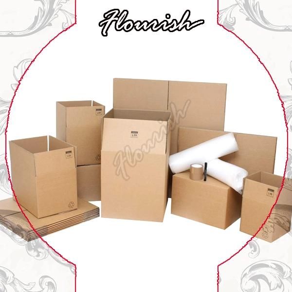 Brown Corrugated Cardboard Packaging Carton Box for Express Service and Mailing Purpose