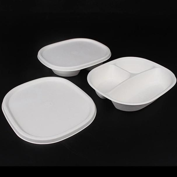 Wholesale Biodegradable 3 Compartment Menu Food Packaging Boxes