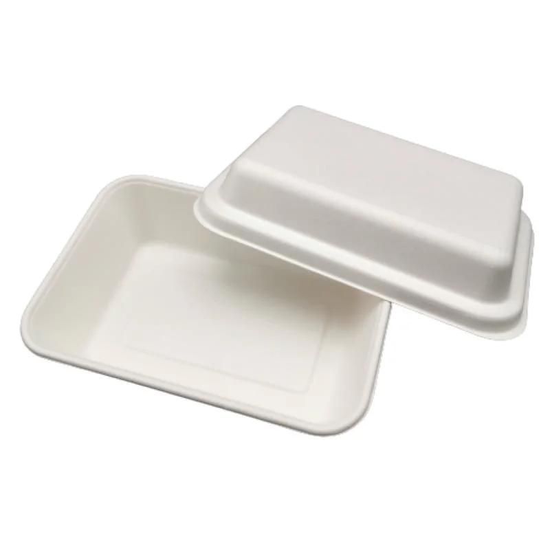 Biodegradable Food Grade to-Go Containers Storage Bento Box with Lid