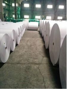 Rolls of Copier Paper