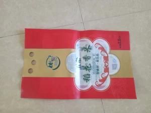 LDPE Plastic Type and Heat Seal Sealing &amp; Handle Custom Shopping Plastic Bag