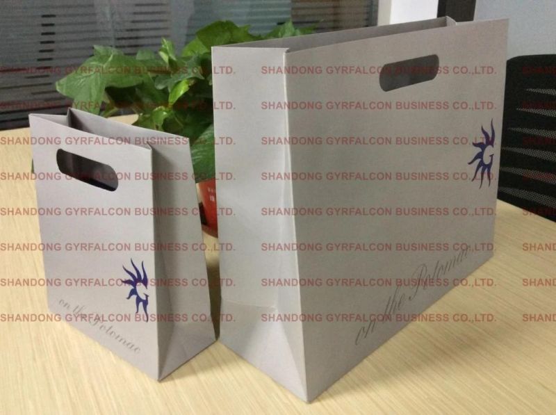 Customized Clothing/Gift/Shoes/Jewelry/Festival Packaging Paper Bag