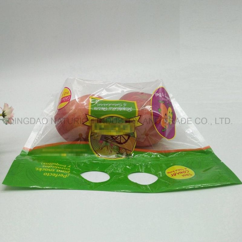 Table Grape Packing Bag with Die Cust Handle Hole and Puncture Pin Holes