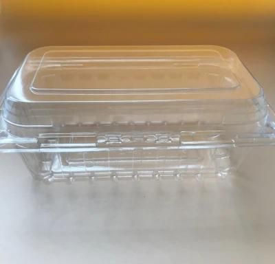 Disposable Cucumber Fruit Serving Box Supermarket Clamshell Plastic Packaging Box Food