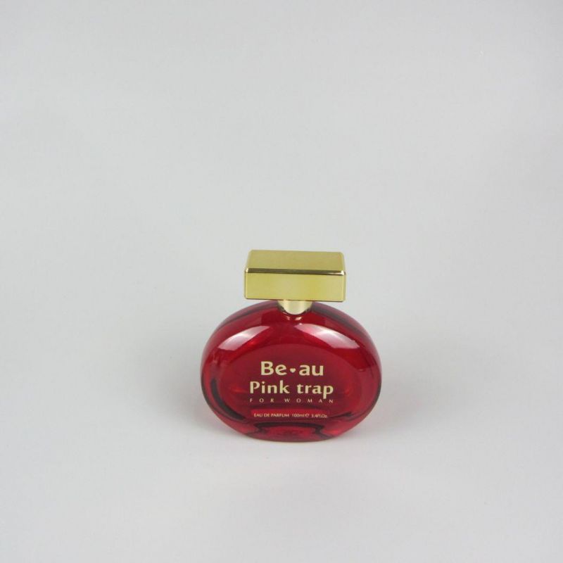 China 100ml Spray Empty Glass Bottle for Perfume