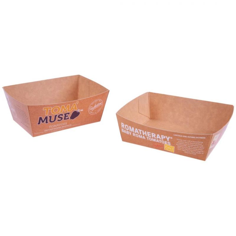 Customize Various High-Quality Packaging Fold Containers Boxes