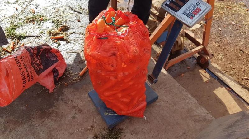 PP Mesh Net Bag for Potato Onion Vegetables