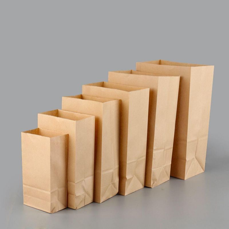 Food Packaging Bag Square Paper Bag for Fried Chicken Block/Compost Bag