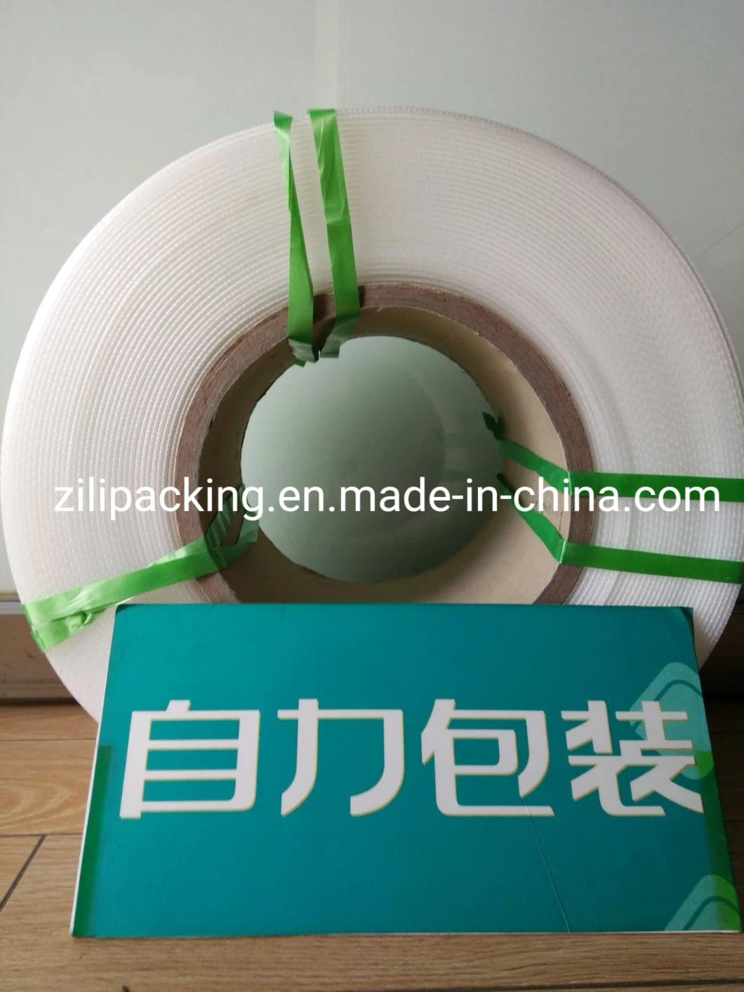 Printed Virgin PP Packing Belt for Packing Box