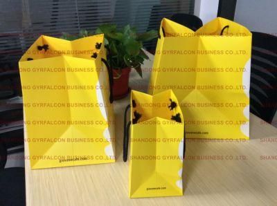 Cardboard Packaging Bag for Clothing/Gift/Shoes/Jewelry/Festival Usage