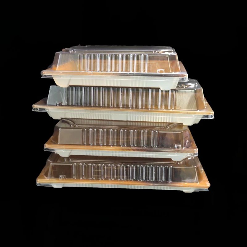 Set of  Four Sushi Packaging Boxes Sushi Tray With Lid