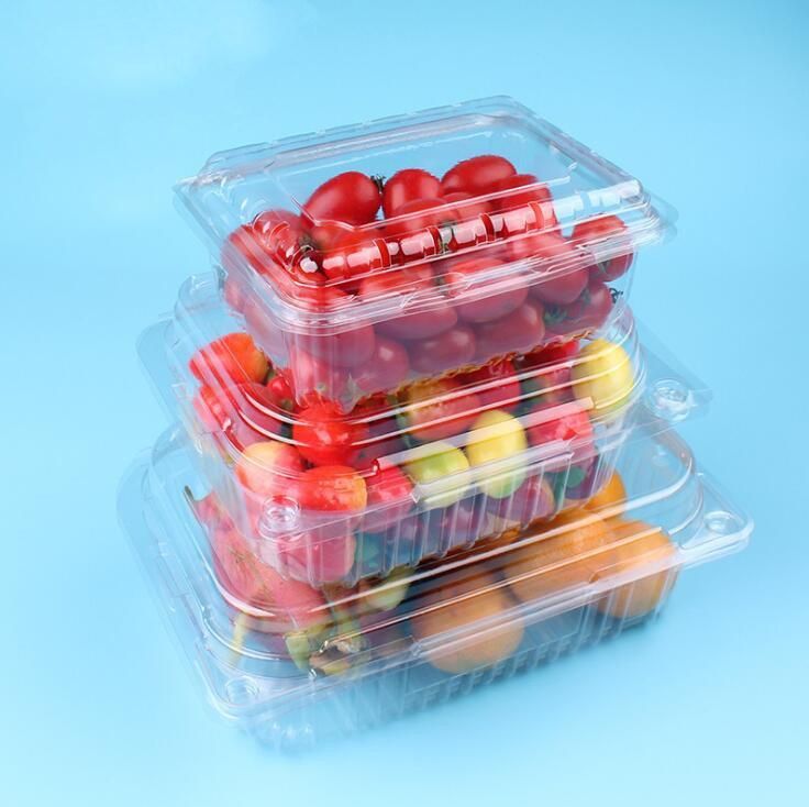 Clear universal  PET Fruit and  Food Container with EU regulation