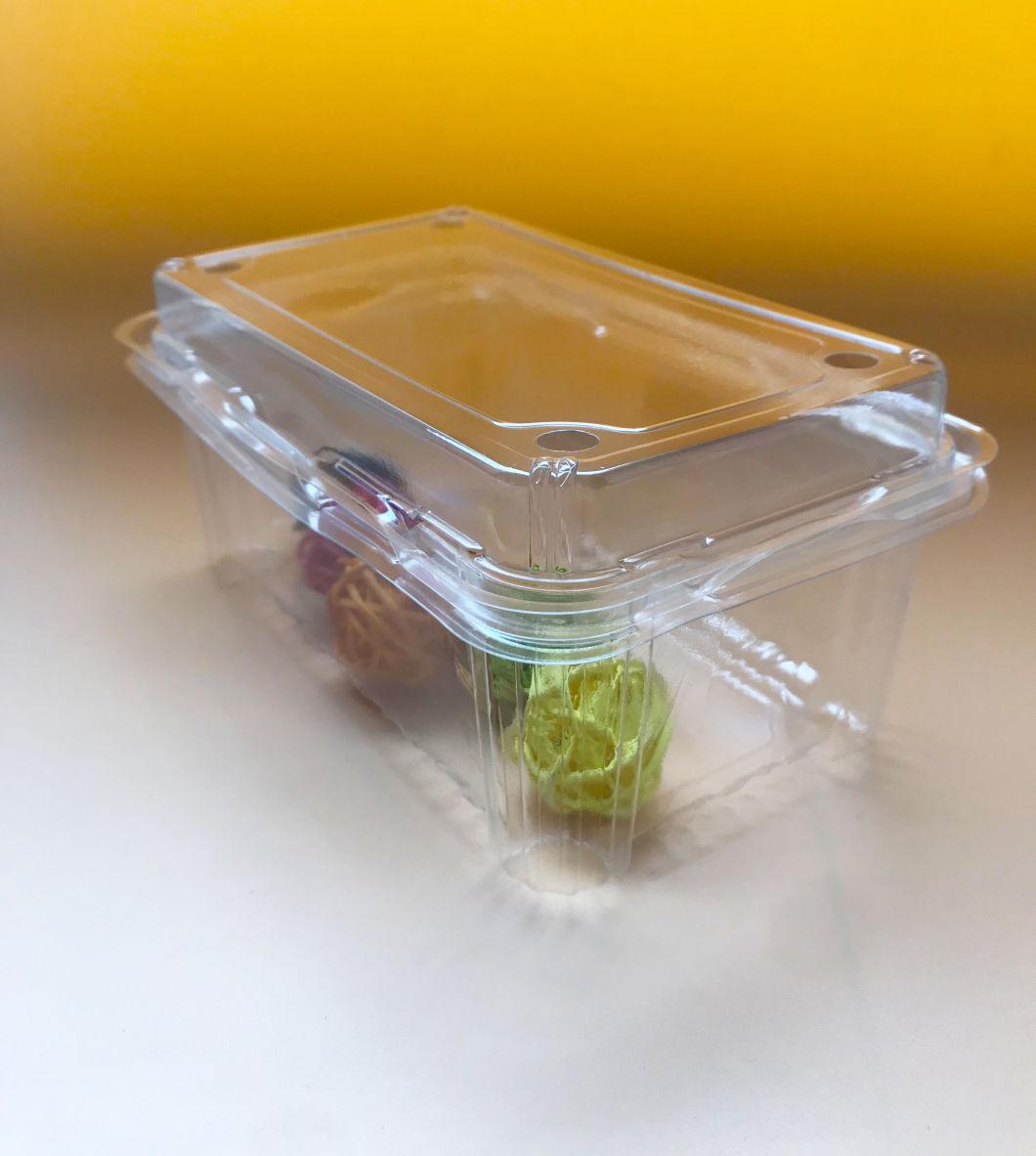 Transparent Clamshell Fruit Vegetable Market Food Container Food Packaging Tray