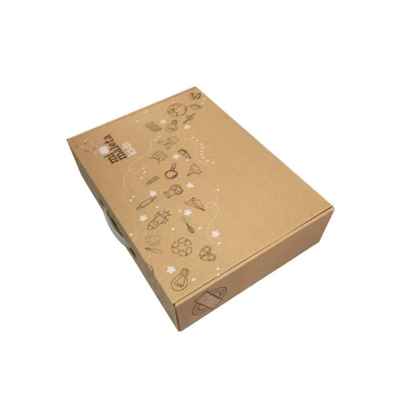 Factory Price Corrugated Cardboard Paper Box with Plastic Handle