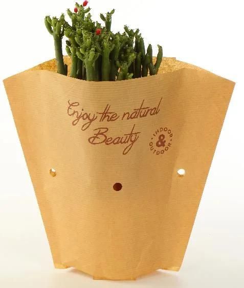 Wrapping Paper Bag Double Embossed Printed Kraft Paper Bags Plain Flower Sleeve Agriculture Flower Package