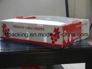 Plastic Folding Box with Silk Screen Printing/Fruit Turnover Box Instead of Carton/Grape Protection Box Made with PP Corrugated Sheet