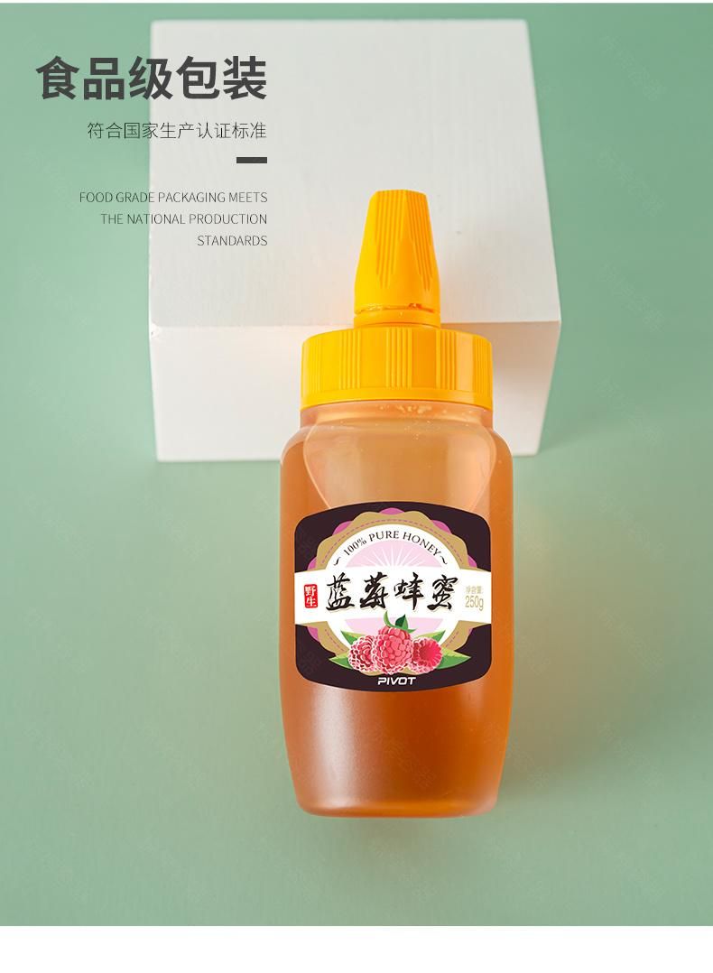 500g 1000g 250g Plastic Honey Syrup Ketchup Jam Hot Fill Beverage Squeeze Bottle