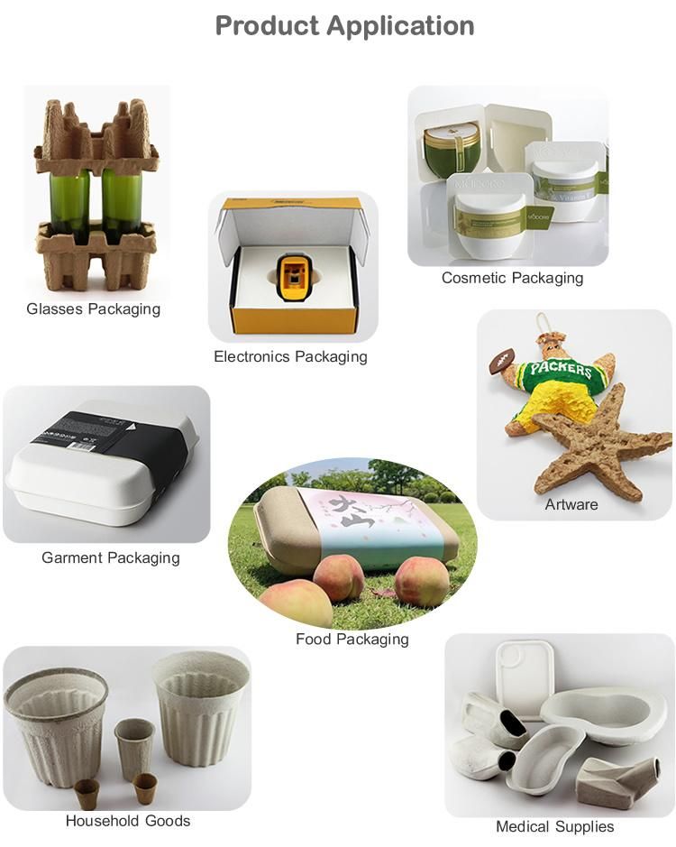 Eco Friendly Molded Pulp Egg Carton Duck Egg Box Sugarcane