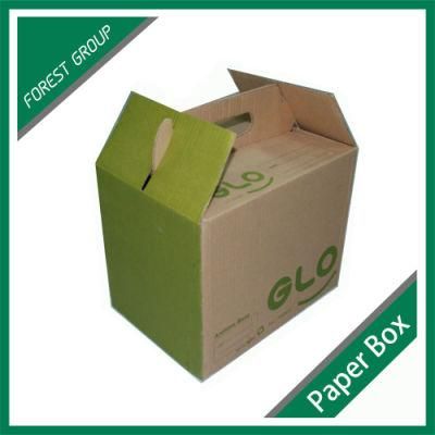 Large Green Carton Packing and Shipping Box with Gld