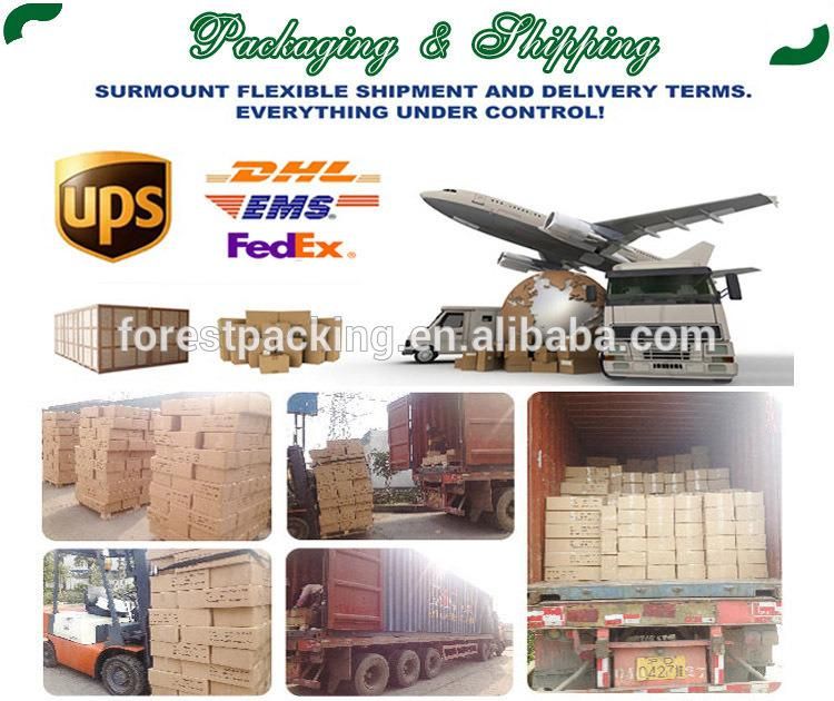 Double Sides Printed Corrugated Packaging and Shipping Box with Insert