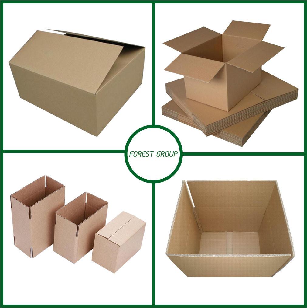 Eco-Friendly Material Custom Size Print Transport Paper Packaging Box