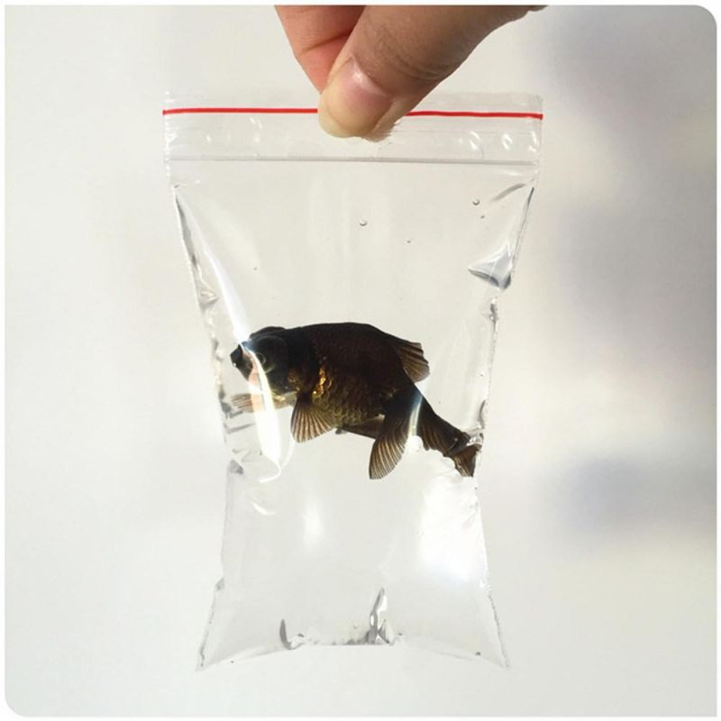 Transparent Without Printing Ziplock FDA Grade Bag