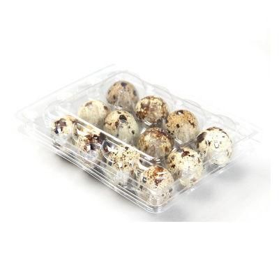 24 Holes Clear Plastic Quail Egg Cartons Packaging Box