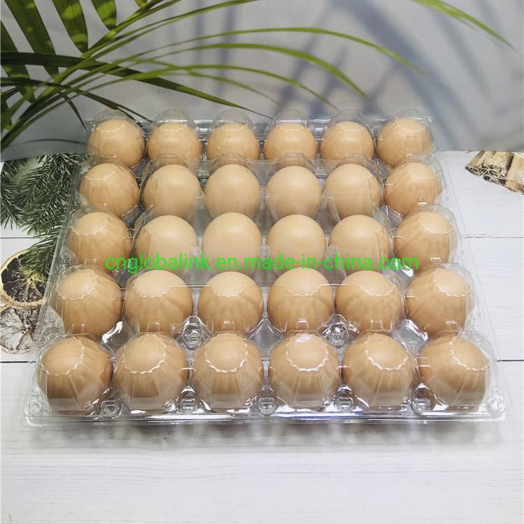 Disposable Plastic Egg Tray 3/7 Holes Egg Packaging