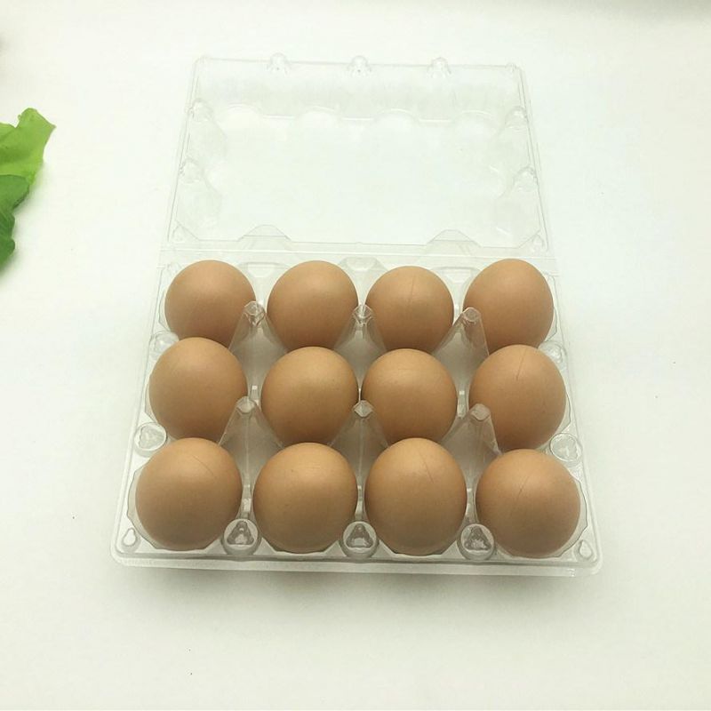 Plastic Chicken Egg Box Quail Egg Packing Tray 12/15/30 Cells Plastic Packaging