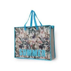 Cmyk Printing Logo PP Woven Reusable Shopping Bag (YH-PB099)