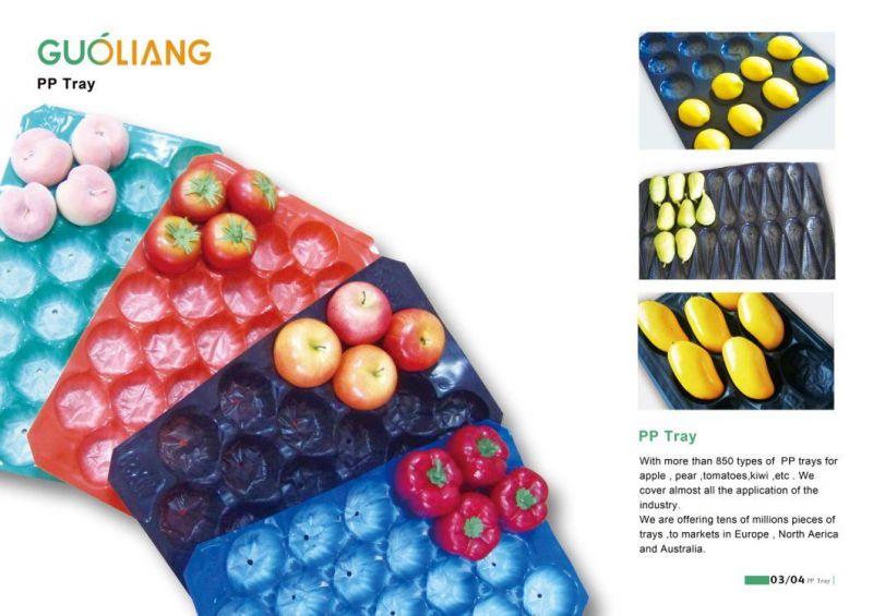 Fresh Food Biodegradable Packing Box for Mushroom PP Plastic Tray