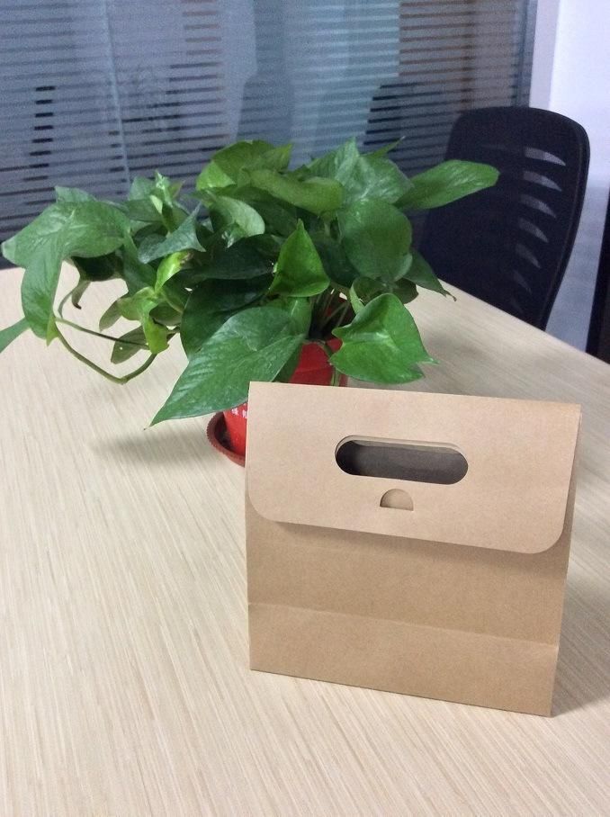 100% Biodegradable Cardboard Paper with Custom Logo Printed Paper Bag