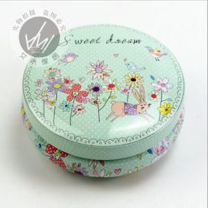 Green Flower Case, Korean Style Tin Box, Cookie Box