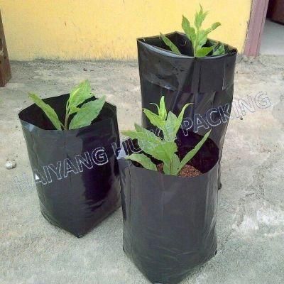 Plastic Nursery Grow Bags for Plants