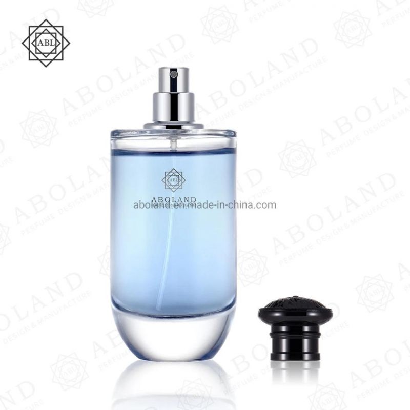 Empty Container Perfume Atomizer Glass 100ml Custom Perfume Bottle with Pump Spray