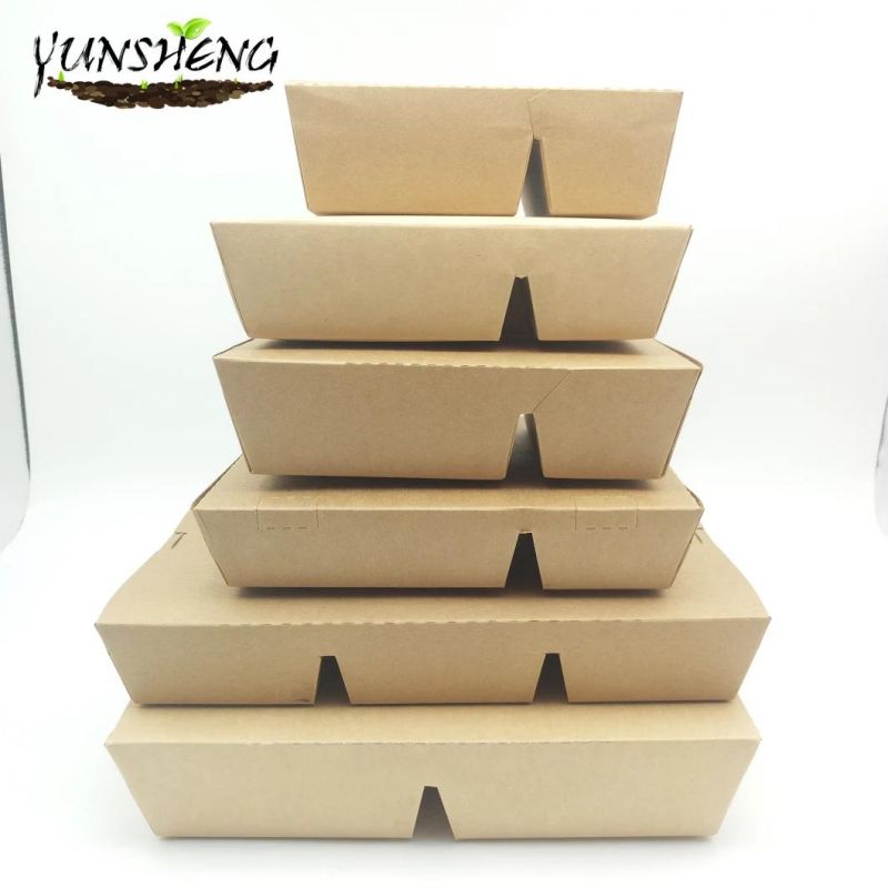 Biodegradable Food Container with Dividers and Lid Wholesale